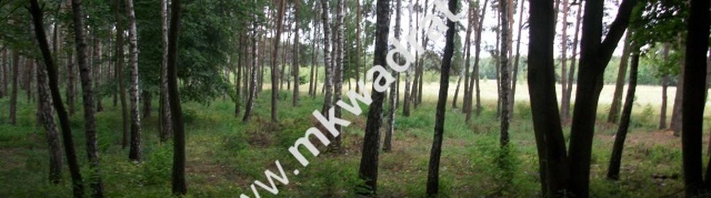 Działka rolna 13 600 m² żabia wola