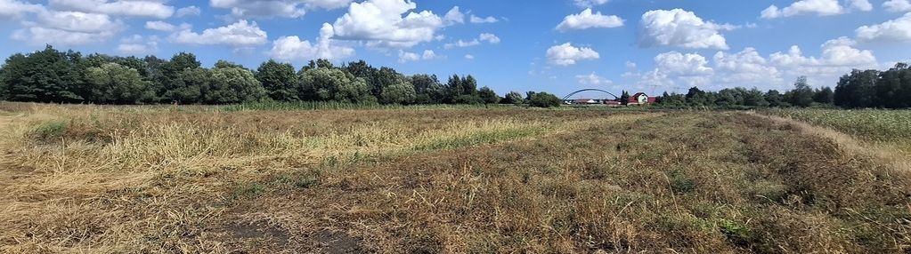 Działka usługowa dziewięć włók 1,2h
