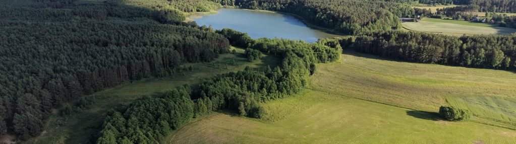 3,3 ha w sercu borów tucholskich - łąki las mermet