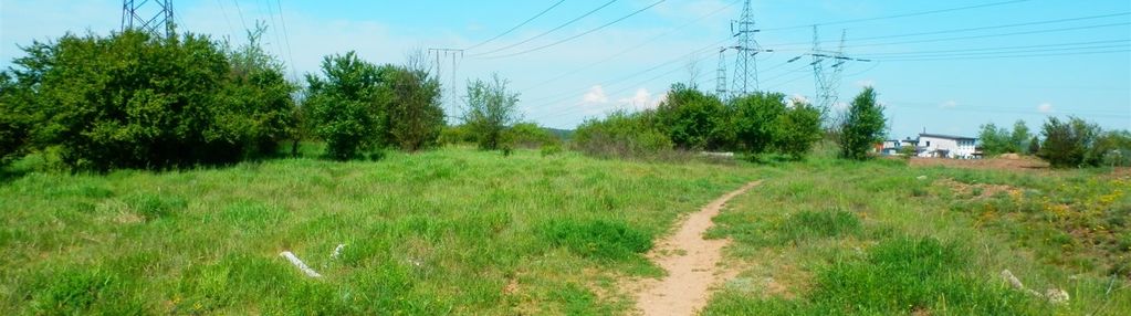 Działka budowlana, 3005 m2, czerwonak