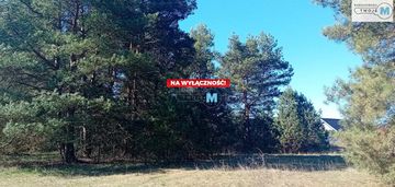 Nieruchomość nad zalewem z prywatnym lasem!