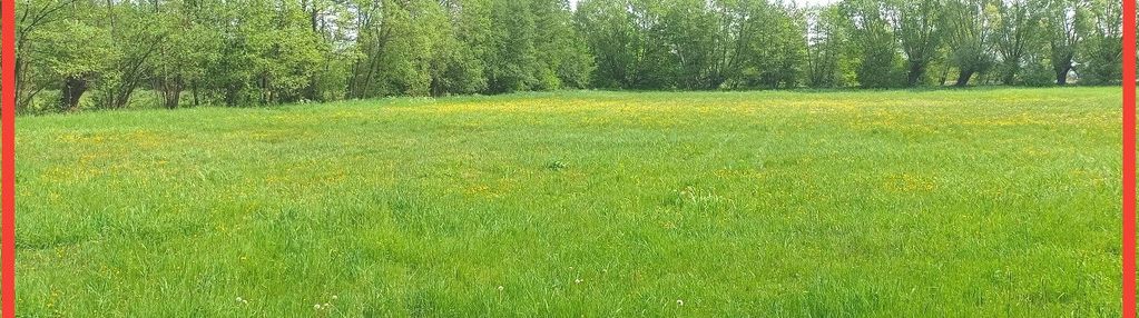 Nowa wieś wielka 800 m2 warunki zabudowy