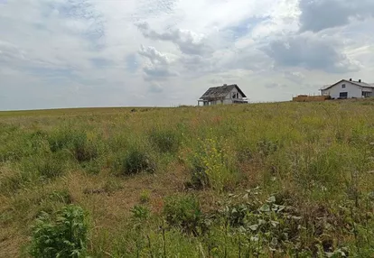 Działka Budowlana, Rózyny