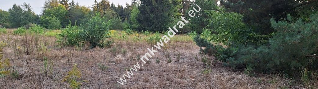 Duża działka z planem zagosp. 1mn lux lokalizacja!