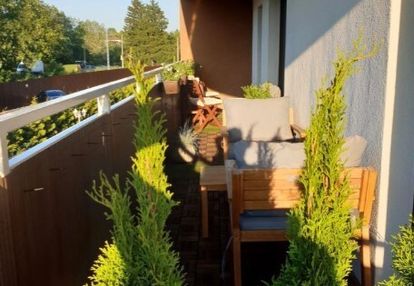 3-pokojowe mieszkanie na włochach