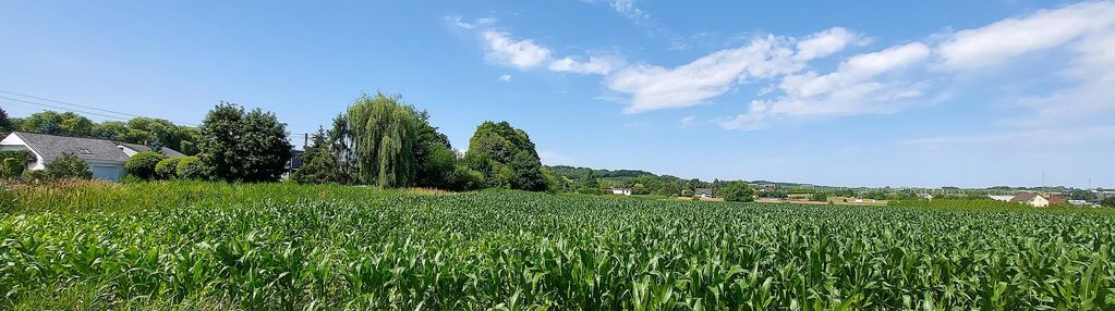 Oferta inwestycyjna działka |30.929 m²| piekary śl