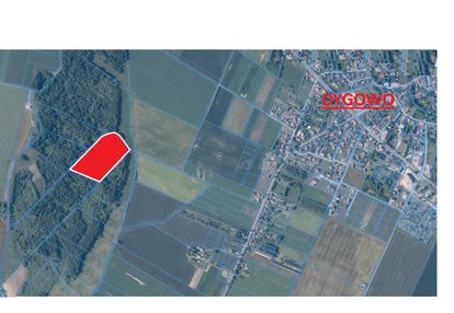 Działka leśna w dygowie