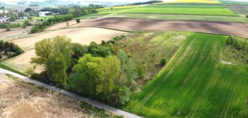Działka rolna 1,357ha. radziemice, niedaleko gminy