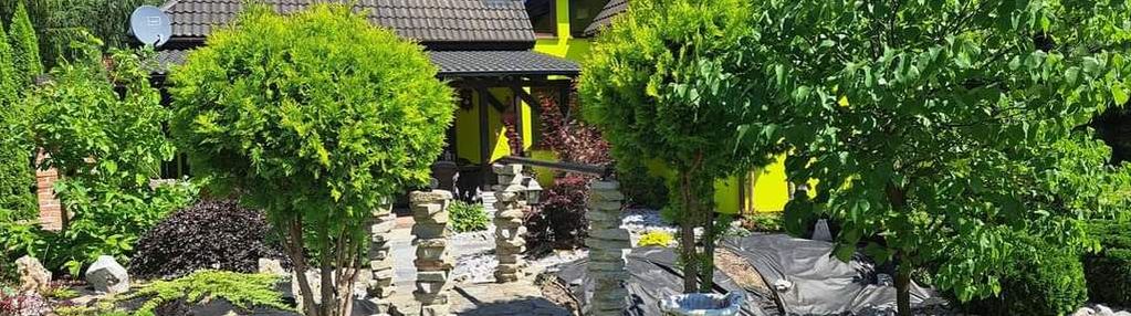 Borowa raków dom wolnostojący działka 3230m2