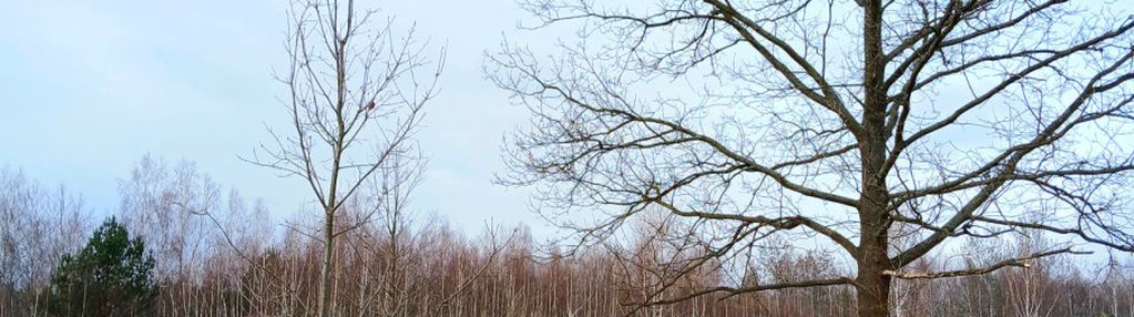 Zielona okolica-działka budowlana