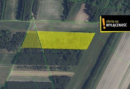 1,67 ha gruntu w cenie 40 000 zł!