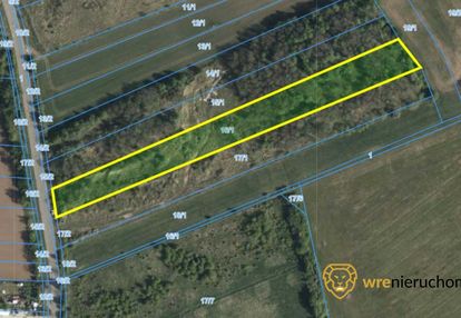 Działa ~ 1 ha mpzp zl - pracze odrzańskie