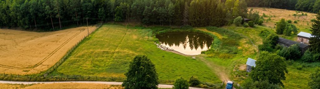 Borowiec – działki 1008 m² | natura i spokój