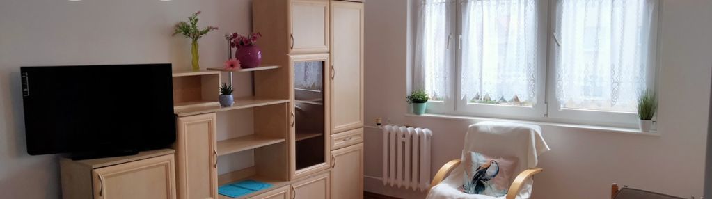 Przytulna kawalerka blisko śródmieścia