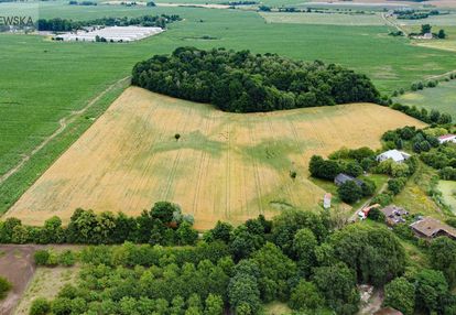 Siedlisko nad stawem! pow. gruntów 5,95 ha, dom!