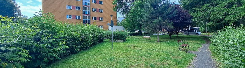 3 pokoje na wynajem, parter, mokre