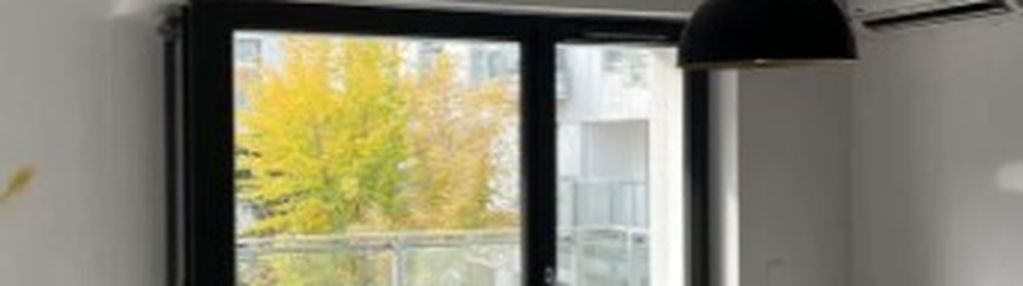 Kawalerka na wilanowie