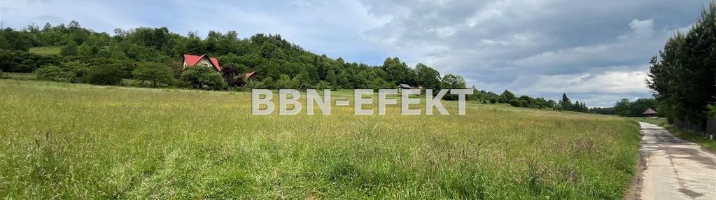 Pewel wielka-gmina jeleśnia