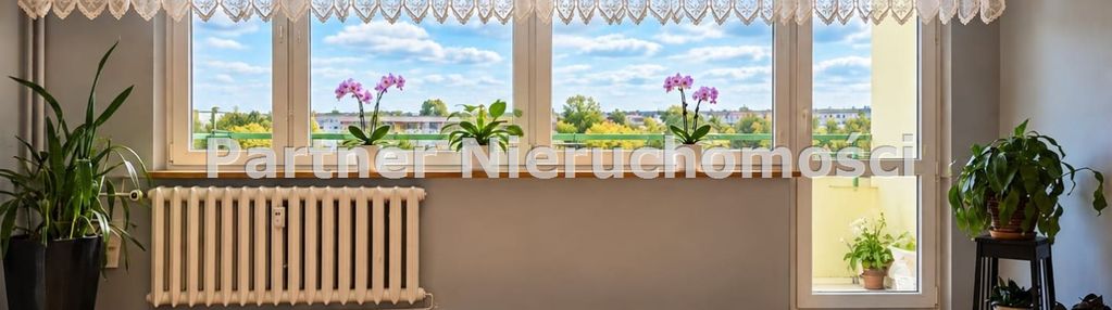Na skarpie, 48m2, balkon