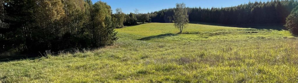 3,44 ha siedlisko, jezioro