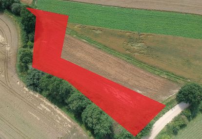 Działka rolna w brudzewie