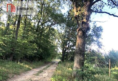 Działka budowlana/radecz/blisko lasu