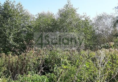 Działka w otulinie parku narodowego