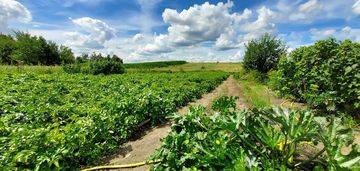 Wyjątkowe gospodarstwo z domem | kaszuby gm. brusy
