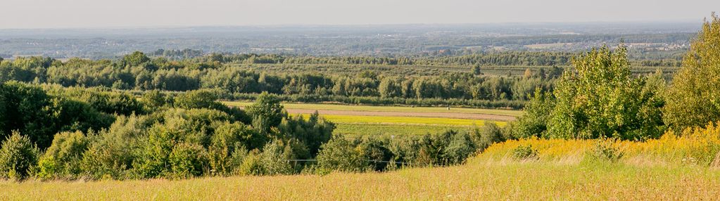 Działka widokowa w miejscowości łysa góra!