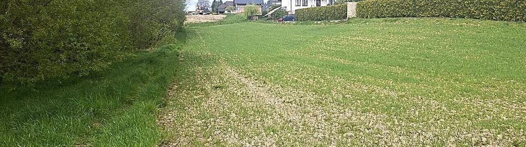 Działka budowlana 10 arów janowice bez osuwisk