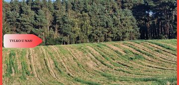 Działka budowlana z linią brzegową jeziora