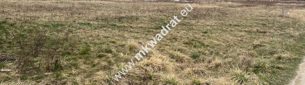 Działka żabia wola mpzp 1000m