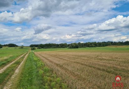 Działka w otulinie puszczy knyszyńskiej z wz