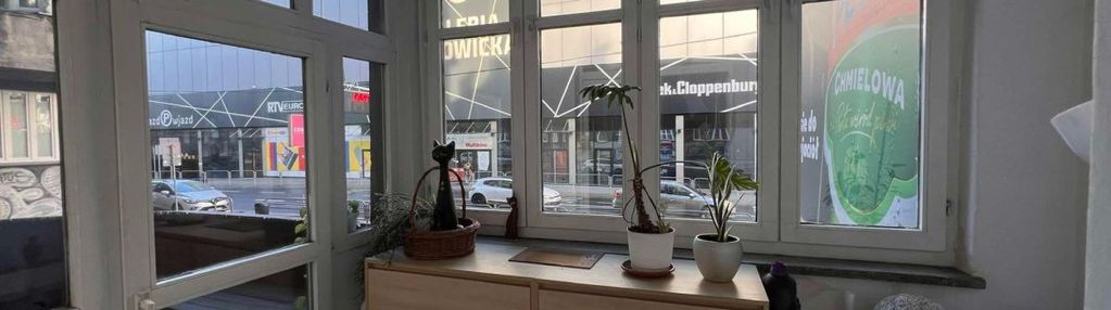 Idealna inwestycja w centrum katowic!