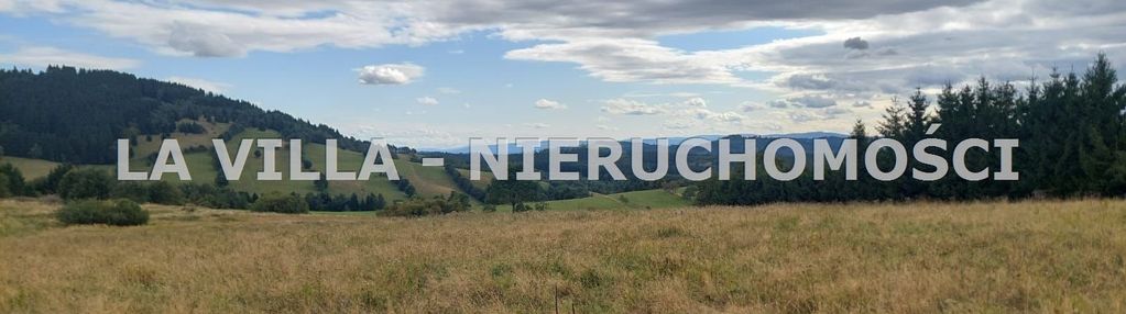 Atrakcyjna działka w sierpnicy