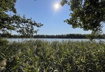 Działka z linią brzegową - jezioro słupowskie