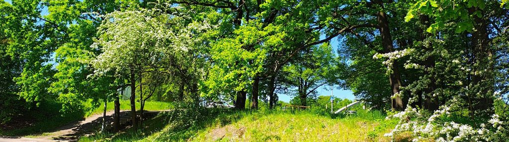 Biskupin działka na nowy dom