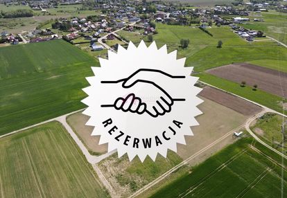 Budowlana w starych bielicach