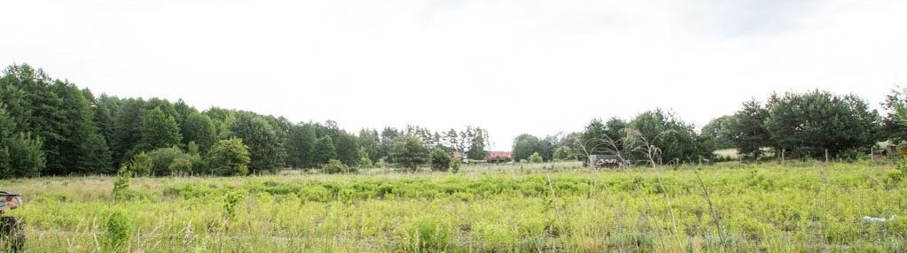 Działka przy ul. ceglanej w nowodworcach, wz