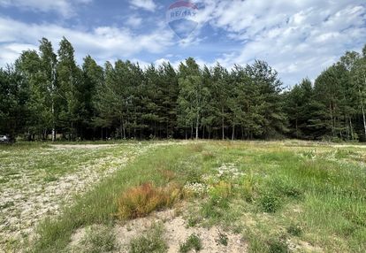 Atrakcyjna działka budowlana w otoczeniu lasu.