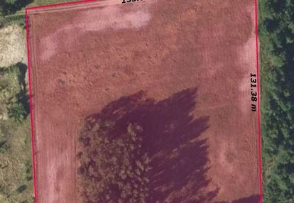 Działka 1,7 ha z lasem w kobylej górze