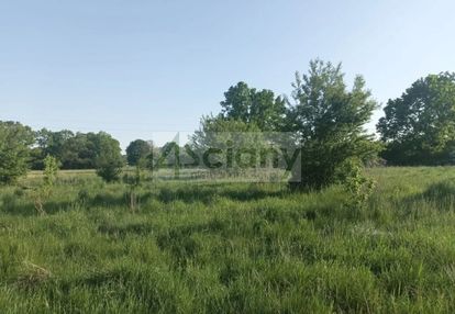 Warunki zabudowy blisko lasu. jest komunikacja!