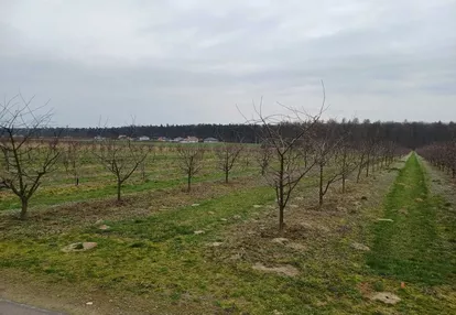 Działka na sprzedaż 126m2