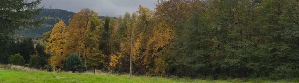 Widokowa działka budowlana, wszystkie media !