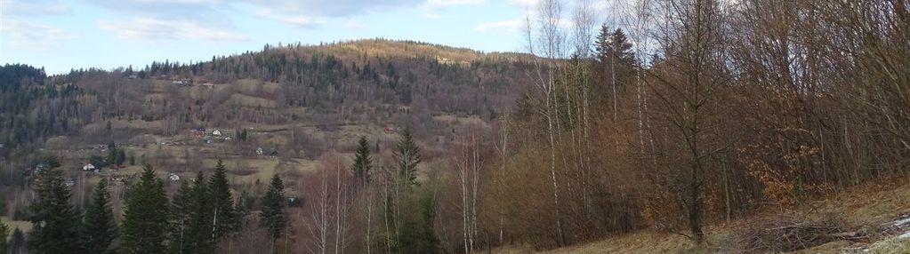 Działka rolno-leśna w milówce - 1,7ha