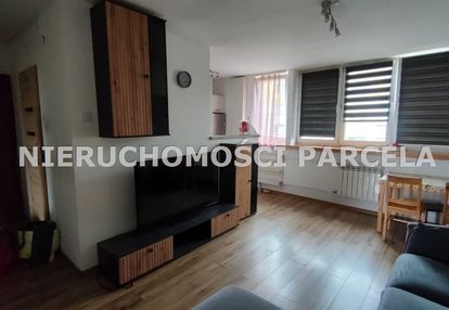 M4 w centrum do wynajęcia