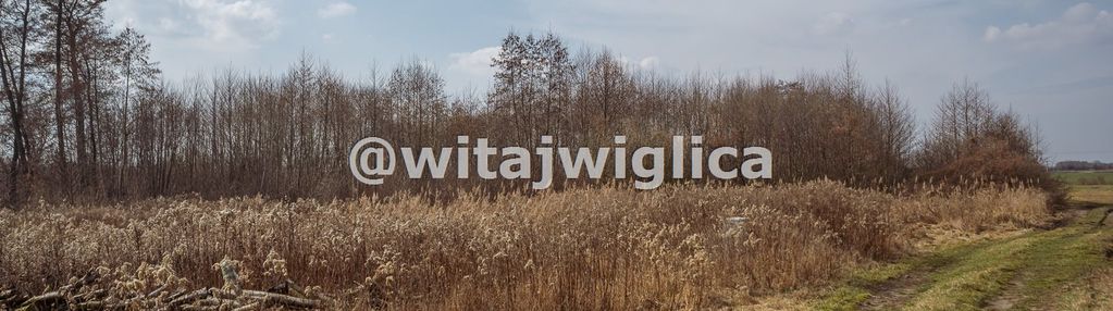 Działka siedliskowa z pozwoleniem na budowę.
