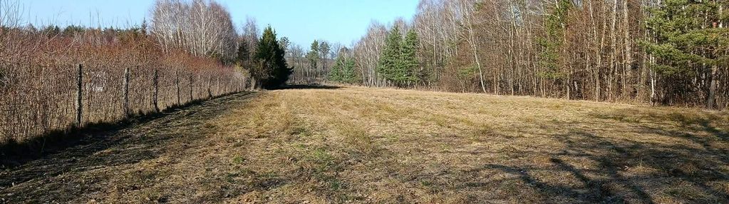 Działka budowlano-rolna 90 ar, krzywe.