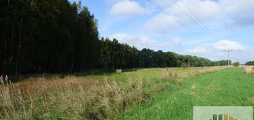 Atrakcyjne działki trójca koło zgorzeleca