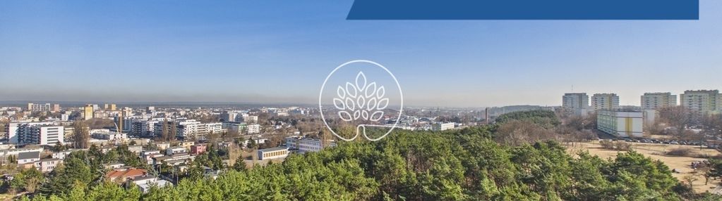 Szarych szeregów | sztos